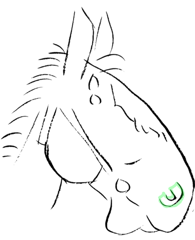horse head cartoon drawing
