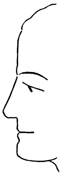 simple profile drawing