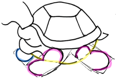 turtle shell drawing