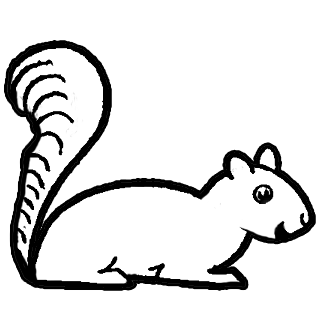 squirrel cartoon drawing