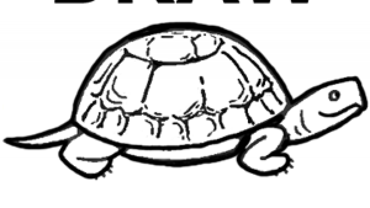 Simple drawing of a turtle with haughty Royalty Free Vector