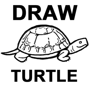 turtle shell drawing side view