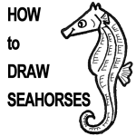 How to Draw Seahorses with Step by Step Cartoon Drawing Lesson – How to ...