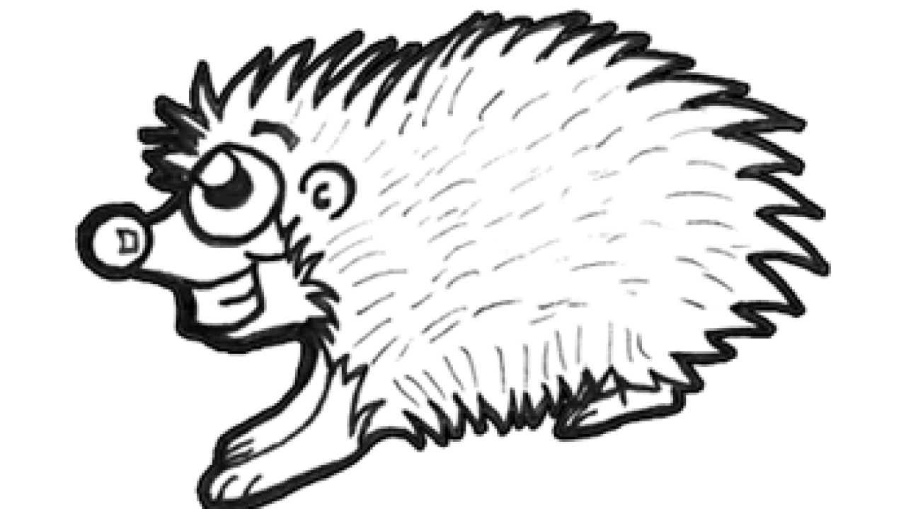 porcupine drawing for kids