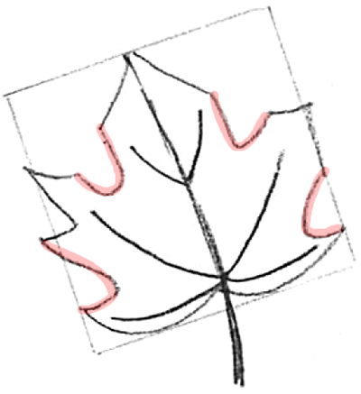 10 Leaf Drawing Step by Step Tutorials - Smiling Colors