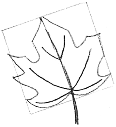 How to Draw Fall Oak Leaves - Really Easy Drawing Tutorial