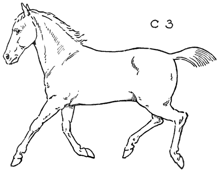 running horses drawings easy
