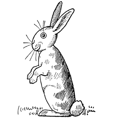 Drawing a Rabbit