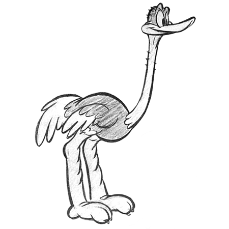 ostrich sketch