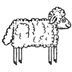 How to Draw Sheep & Lambs with Easy Drawing Lesson for Preschoolers ...
