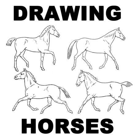 Horse Canter Outline | Simple Horse Drawing, Print or Download