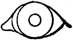 human eye drawing