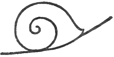 snail shell outline