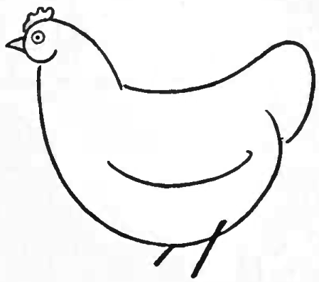 Chicken Hen Drawing, old hen, animals, chicken Meat, galliformes png |  PNGWing