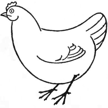 How to Draw Chickens Hens with Easy Step by Step Drawing