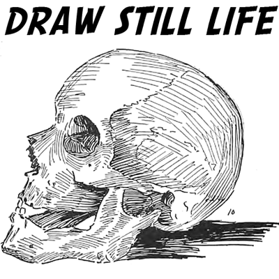 create a still-life drawing, focusing on the appearance of basic shapes  within the arrangement. Then write - brainly.com