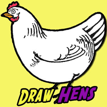 Easy How to Draw a Rooster Tutorial