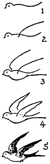 easy flying birds drawing