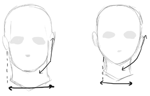 anime girl head structure