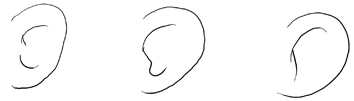 easy way to draw human ear