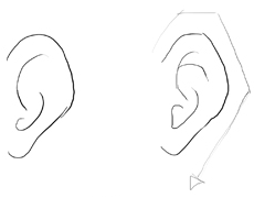 Draw Ears - How to Draw Cartoon & Illustrated Ears in Easy Steps - How ...