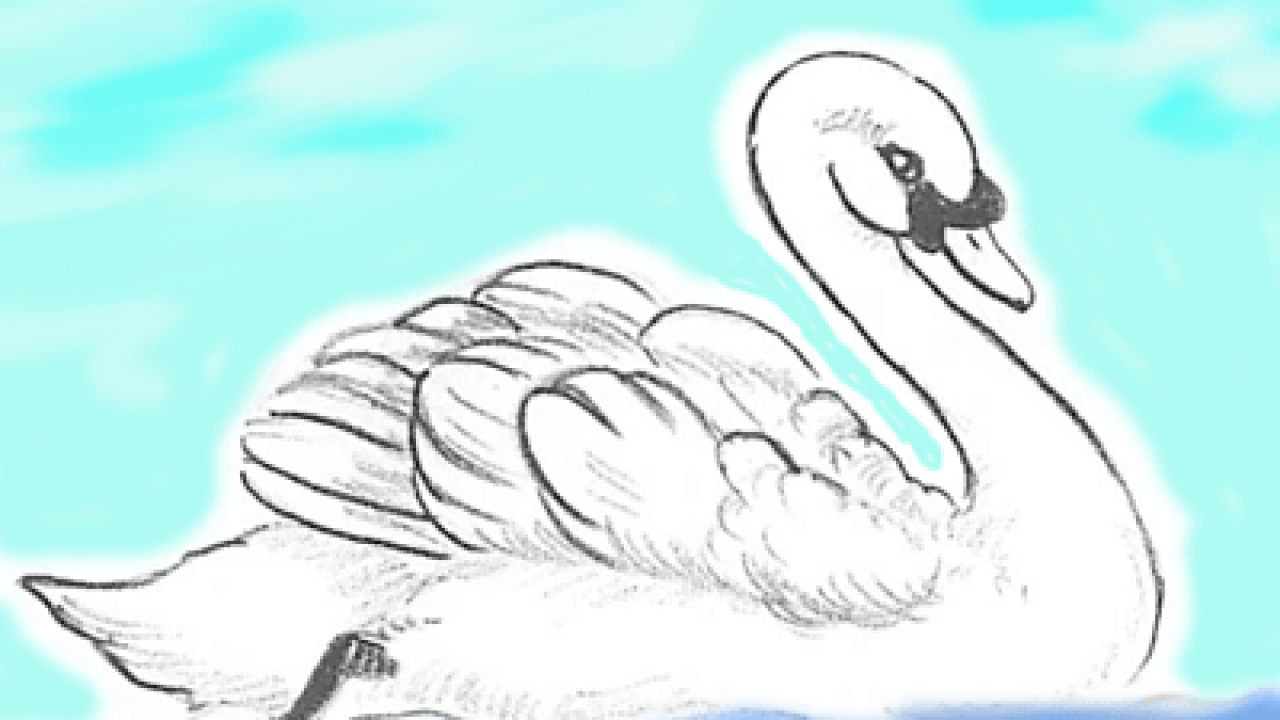 21 Swan Drawing Ideas - How To Draw Swan - DIYnCrafty