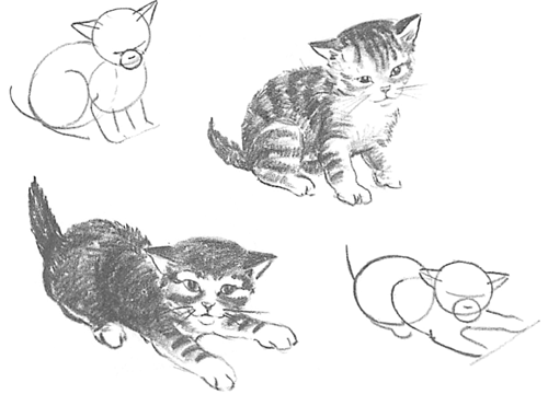 cats and kittens drawings
