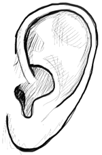 Drawing Realistic Ears
