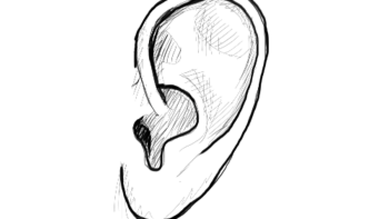 how to draw human ears | Human drawing, Sketches, Ear