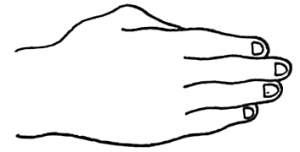 Learn How to Draw Hands with Drawing Lesson & Hands Positions Reference ...