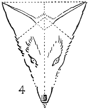 how to draw a fox face step by step