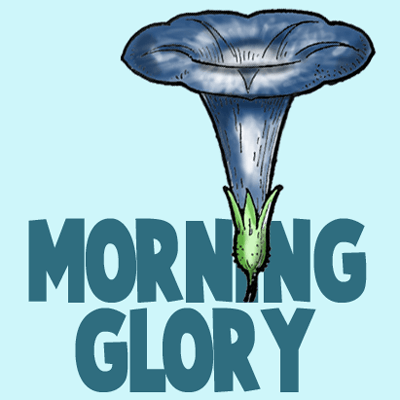 easy morning glory drawing
