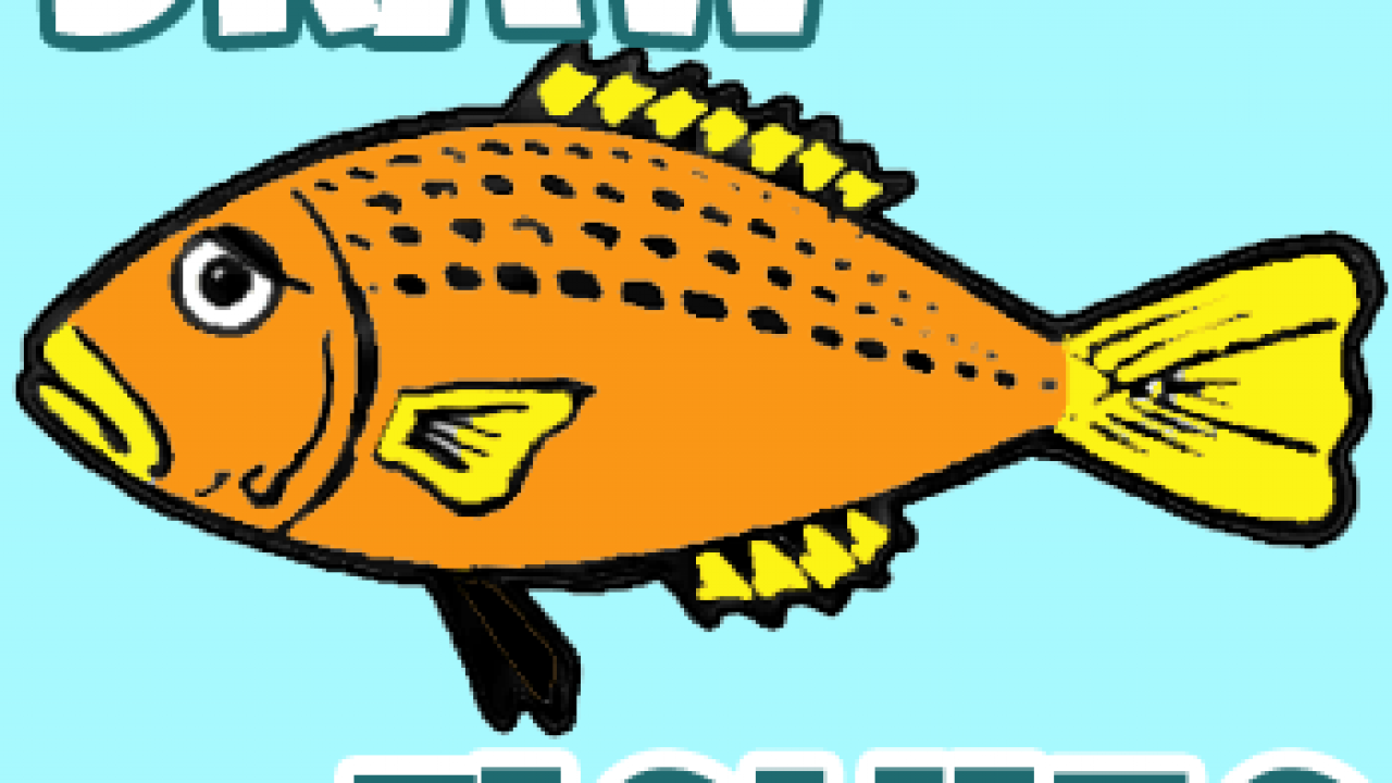 How to Draw an Easy Fish - Really Easy Drawing Tutorial, fish drawing -  thirstymag.com