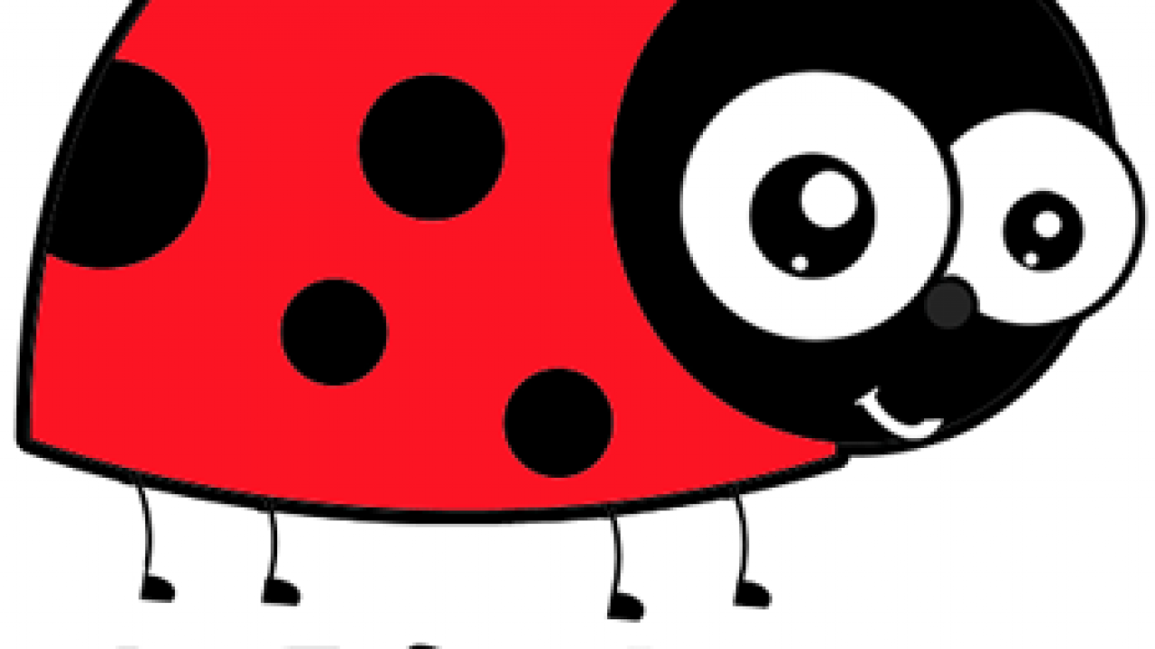 cute ladybug cartoon