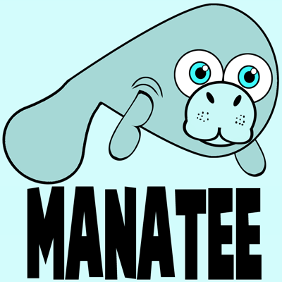 cute manatee drawing