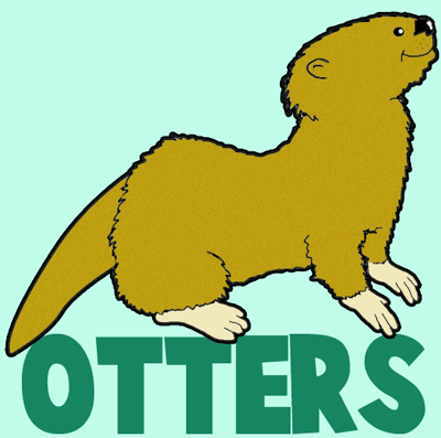 How to Draw Cartoon Otters with Easy Instructional Step by Step Drawing Tutorial