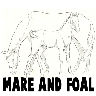 How to Draw Momma and Baby Horse (Mare and Foal) Drawing Tutorial