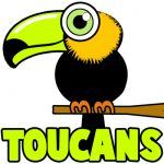 How to Draw Cartoon Toucans with Easy Step by Step Drawing Tutorial ...