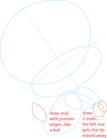 How To Draw Baby Tweety Bird From Tinytoons Adventures With Easy Step By Step Drawing Tutorial How To Draw Step By Step Drawing Tutorials