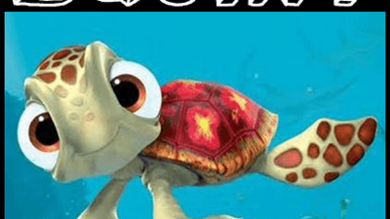 Finding Nemo Turtle Png Dreams Of Women