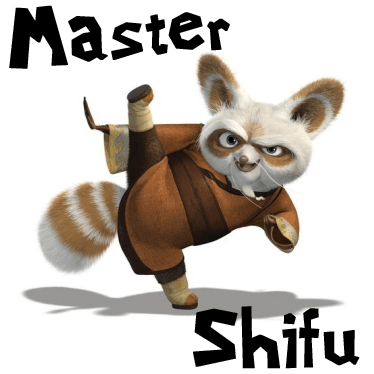 Shifu Kung Fu Panda