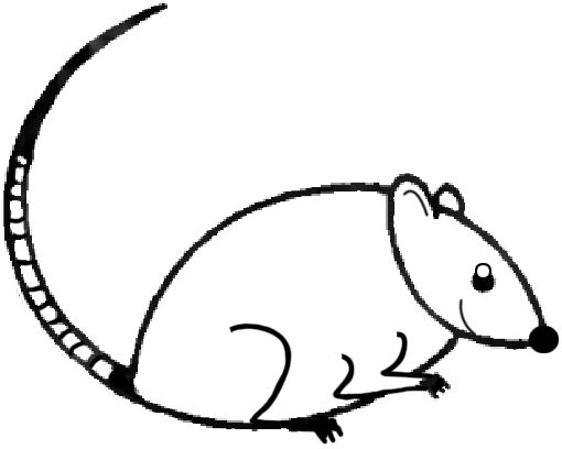 19 Simple and Easy Mouse Drawings - Cool Kids Crafts in 2023
