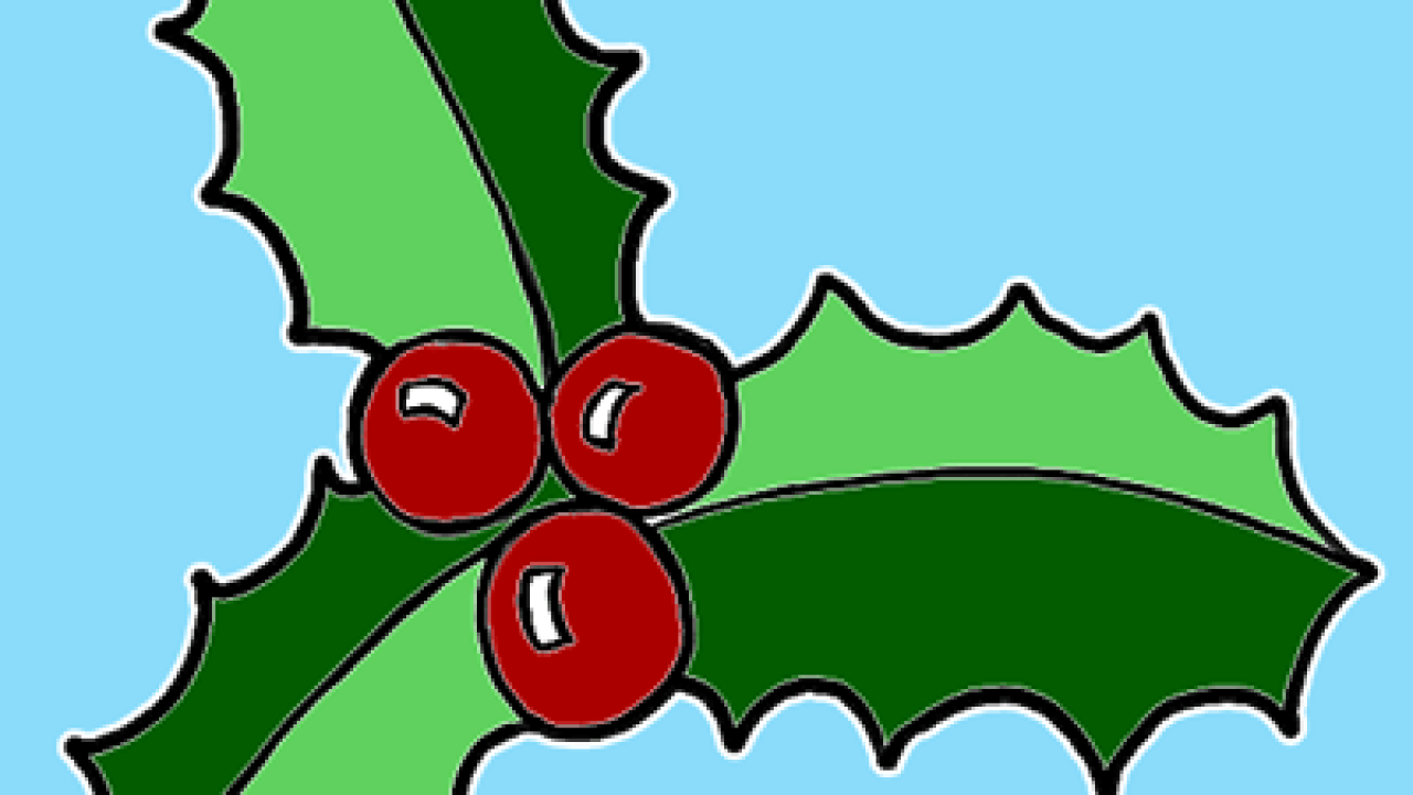 How to Draw Christmas Holly with Easy Tutorial - How to Draw Step
