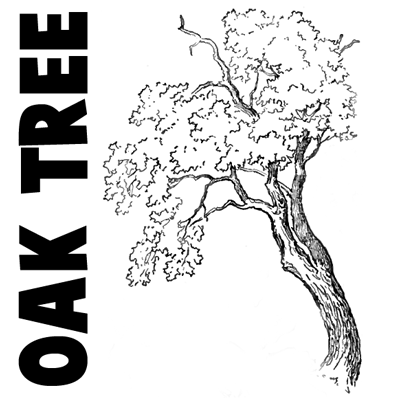 Oak Tree Drawing: Over 60,463 Royalty-Free Licensable Stock Illustrations &  Drawings | Shutterstock
