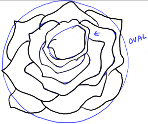 How to Draw Roses Opening in Full Bloom Step by Step Drawing Tutorial ...