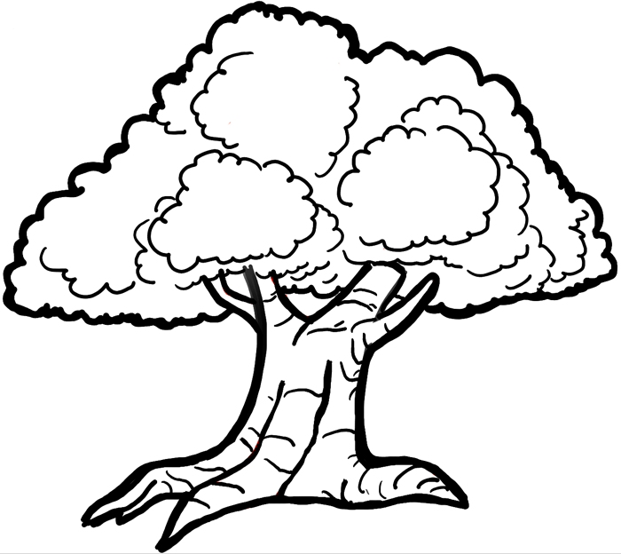 Tree vector art - Download Tree vectors - 1082577 | Tree drawing, Tree line  drawing, Tree drawing simple