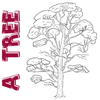 21 tree drawings  Image