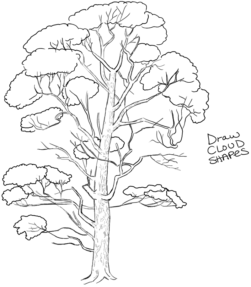 List 92+ Pictures Pictures Of Trees To Draw Excellent