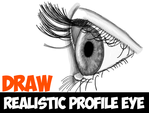 Pin by Grey on Full Body  Cute eyes drawing, Eye drawing tutorials, Eye  drawing