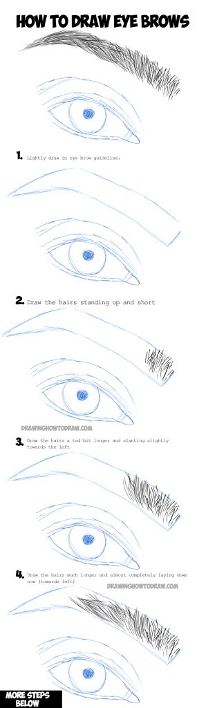 How to Draw Eye Brows Step by Step Drawing Tutorial - How to Draw Step